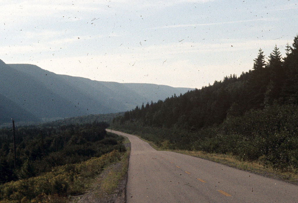 scanned film with dust artifacts